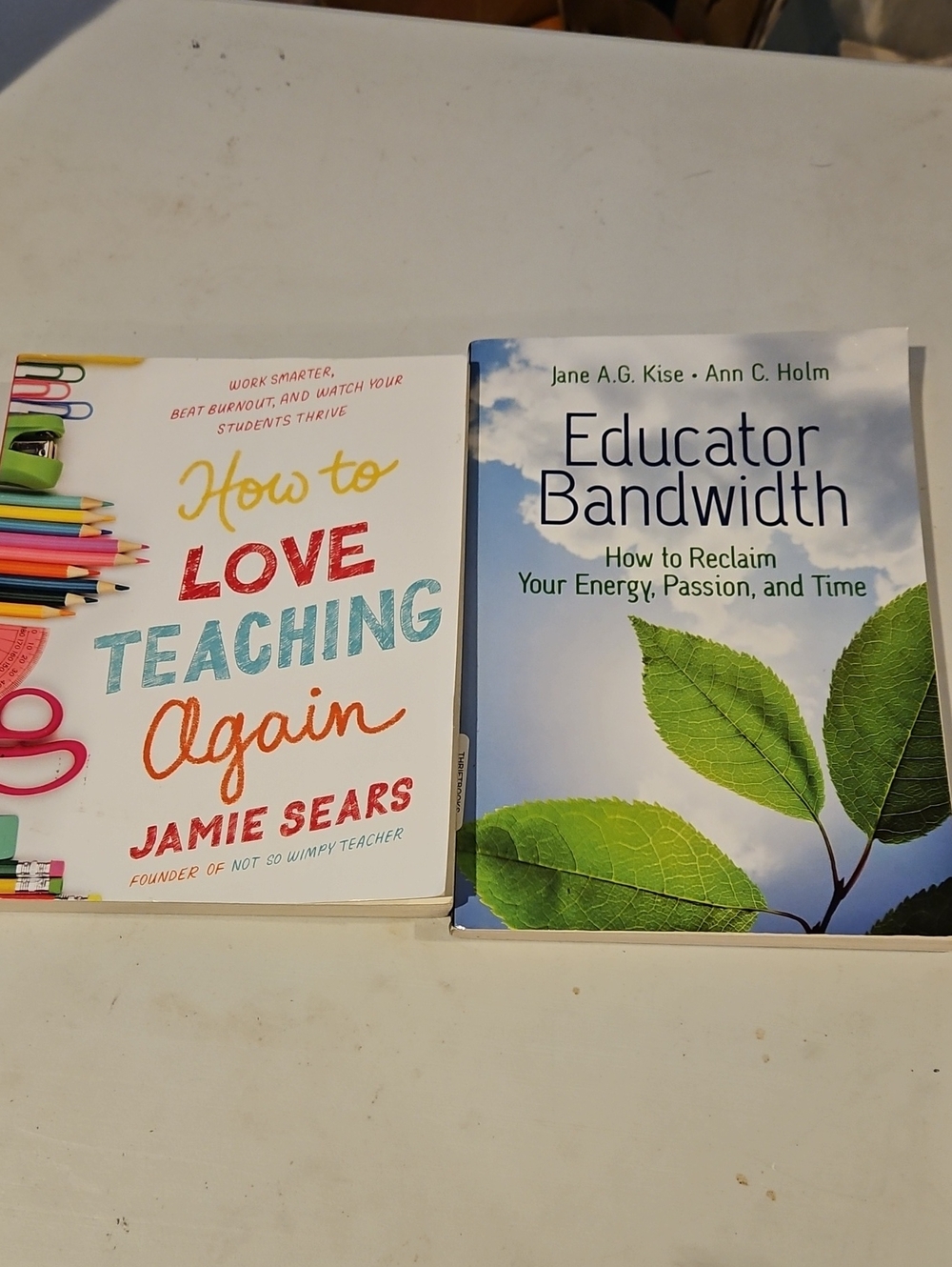 How to Love Teaching Again by Jamie Sears and Educator Bandwidth by Kise & Holm